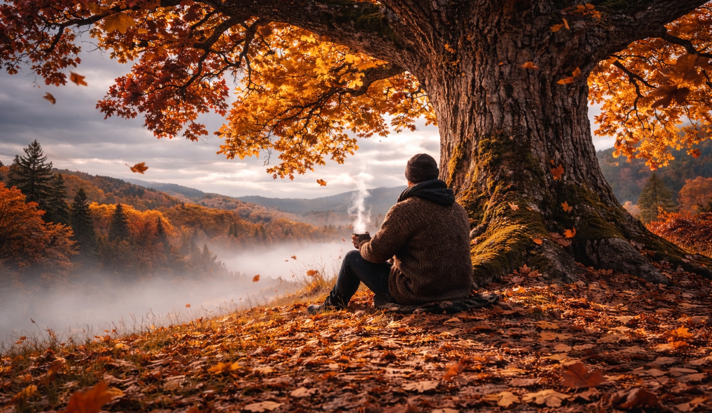 Ember and Oak Cafe exterior